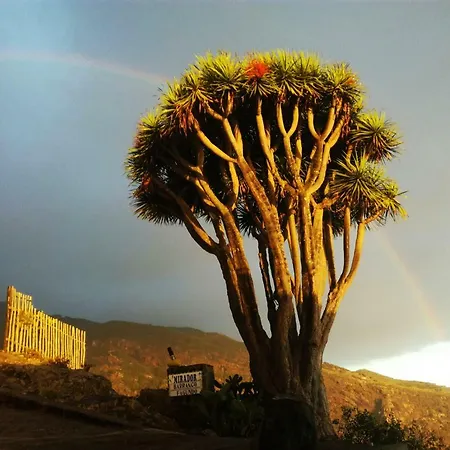 Casas Gemelas Viewpoint!